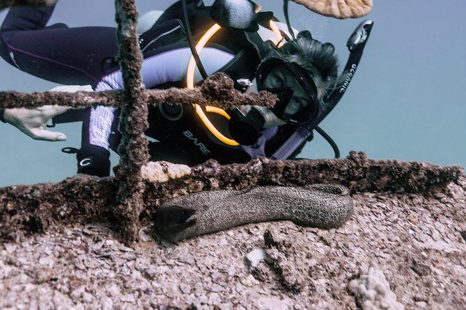 Waikiki 2 Tank World Class Wreck SCUBA Diving - Certified Only - What’s Included in the $269 Price (and What Isn’t)