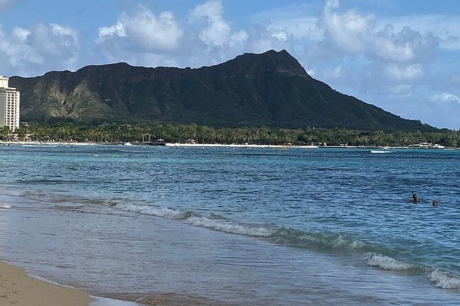 Waikiki 3pm Tradewind Sail - Open Bar Included - Dolphins, turtles, and humpbacks: how to think about the wildlife odds