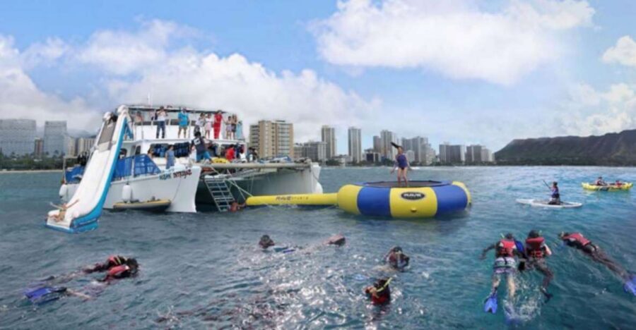 Waikiki: 5-in-1 Turtle Snorkeling Trip with Shuttle Option - Turtle snorkeling and marine life: what you’re paying for