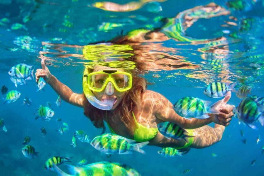 Waikiki: 5-in-1 Turtle Snorkeling Trip with Shuttle Option - Who should book this Waikiki 5-in-1 trip