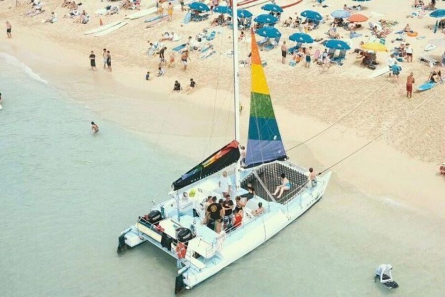 Waikiki Beach: Turtle Snorkeling and Sailing on Hāwea - Price and value: is $85 worth it in Waikiki?