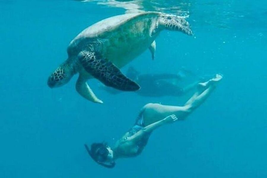 Waikiki Beach: Turtle Snorkeling and Sailing on Hāwea - The one thing to watch: crowded water and flotation gear