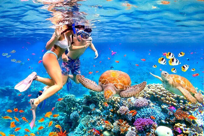 Waikiki Catamaran Escape: Snorkel with Turtles & Water Sports Fun - A Waikiki Catamaran Day That Actually Feels Simple