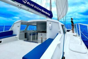 Waikiki Catamaran Escape: Snorkel with Turtles & Water Sports Fun - Snorkeling With Turtles Plus the 6-in-1 Water Sports Plan