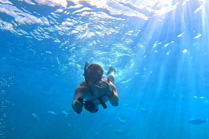 Waikiki Catamaran Escape: Snorkel with Turtles & Water Sports Fun - Price and Value: What $120.69 Buys You