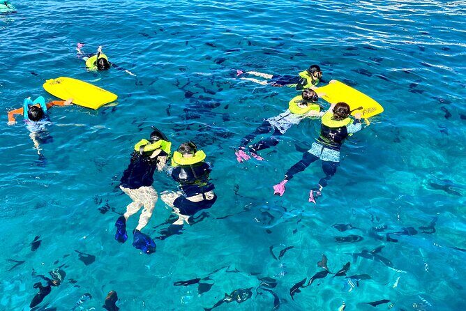 Waikiki Catamaran Escape: Snorkel with Turtles & Water Sports Fun - Who This Tour Fits Best (and Who Might Want a Different Option)