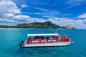 Waikiki Glass Bottom Boat Tour - Glass bottom reality check: how the viewing actually works