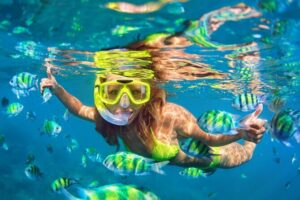 Waikiki Green Sea Turtle Snorkeling Tour - Boat Excursion - Getting to Kewalo Basin Harbor: smooth if you arrive early