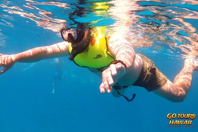 Waikiki Green Sea Turtle Snorkeling Tour - Boat Excursion - Turtle Canyon: the whole reason you booked