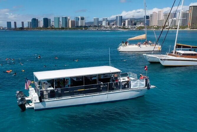 Waikiki Green Sea Turtle Snorkeling Tour - Boat Excursion - Comfort, group size, and why the “crowded spot” issue matters