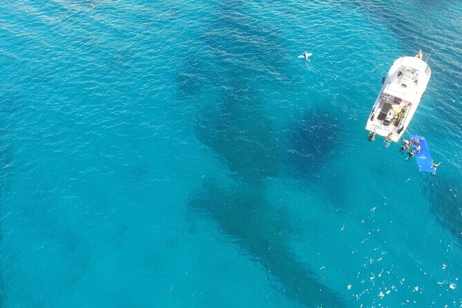 Waikiki, Hawaii: Turtle Canyon Snorkel Excursion - Group Size: Max 40, Realistic Expectations About Crowds