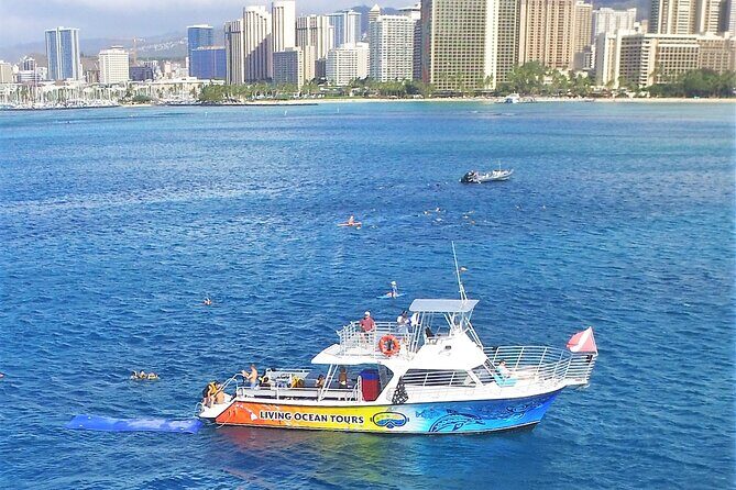 Waikiki, Hawaii: Turtle Canyon Snorkel Excursion - The Waikiki Beach Stop: Where Comfort Gets Built