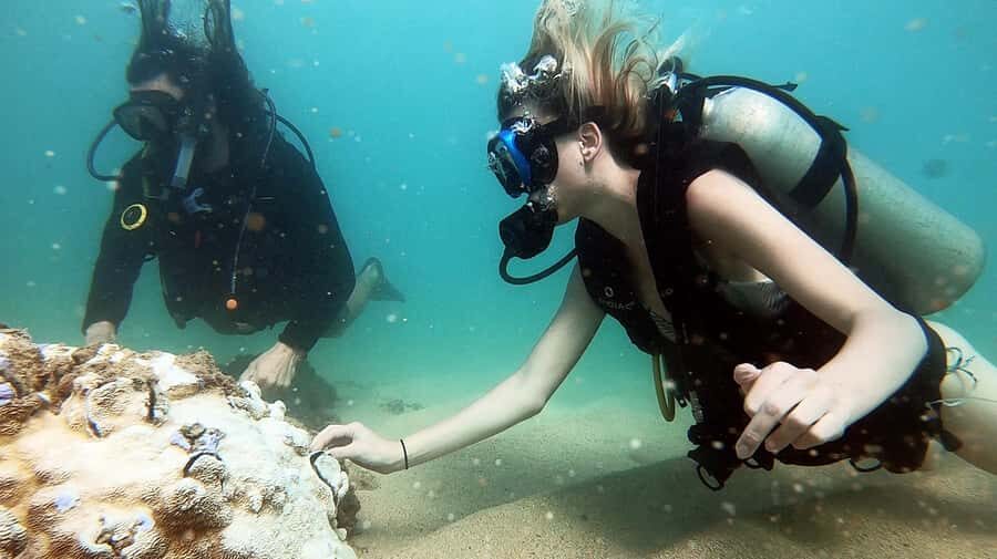 Waikiki: Honolulu Beginner Scuba Diving with Videos - Magic Island Lagoon in Waikiki: Why this spot fits first-timers