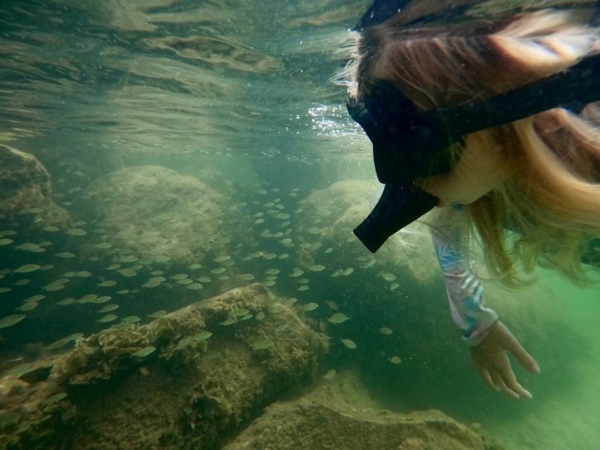 Waikiki: Honolulu Beginner Snorkeling Tour with Videos - Key takeaways before you go