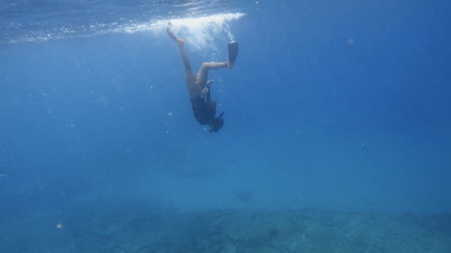 Waikiki: Honolulu Beginner Snorkeling Tour with Videos - Meeting point and getting geared up near Life Guard Tower 1G