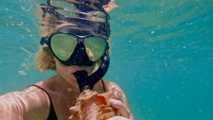 Waikiki: Honolulu Beginner Snorkeling Tour with Videos - The video feature: how you keep your first snorkeling memories