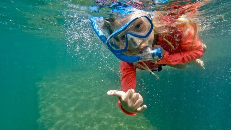 Waikiki: Honolulu Beginner Snorkeling Tour with Videos - Safety and comfort details that matter in real life