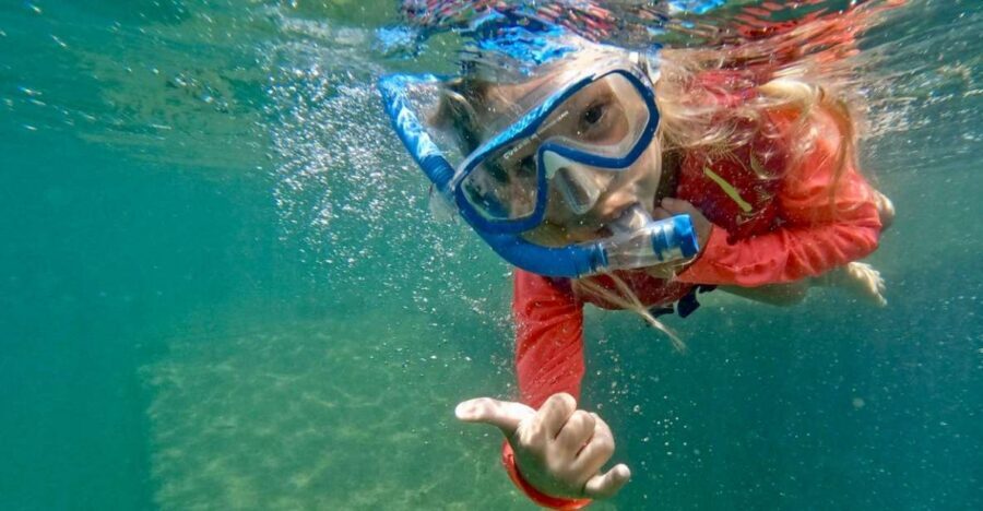 Waikiki: Honolulu Beginner Snorkeling Tour with Videos - Your 90 minutes in the water: how the lesson actually plays out