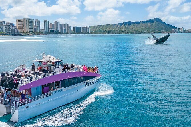 Waikiki, Oahu 2-Hour Whale Watching: Guaranteed Sightings - Ride comfort on an Oahu boat: what to prepare for
