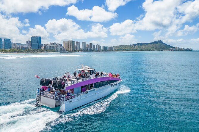 Waikiki, Oahu 2-Hour Whale Watching: Guaranteed Sightings - 2 hours on the water: how the whale search usually plays out