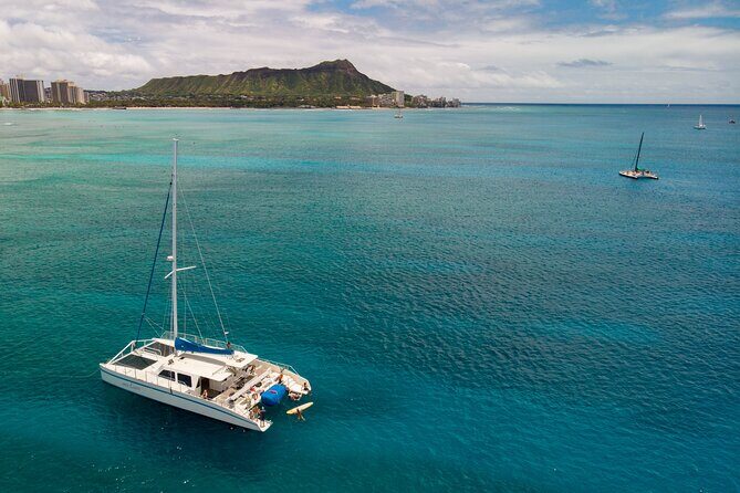 Waikiki Panorama Sail: Search for Hawaiian Sea Turtles - Drinks and Snacks: Included, Easy, and Built for a Relaxed Sail