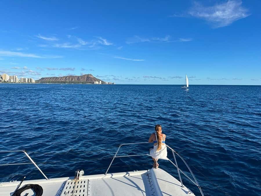 Waikiki: Sea Turtle Snorkeling, Small Group Boat Tour - Who should book this tour, and who should skip it