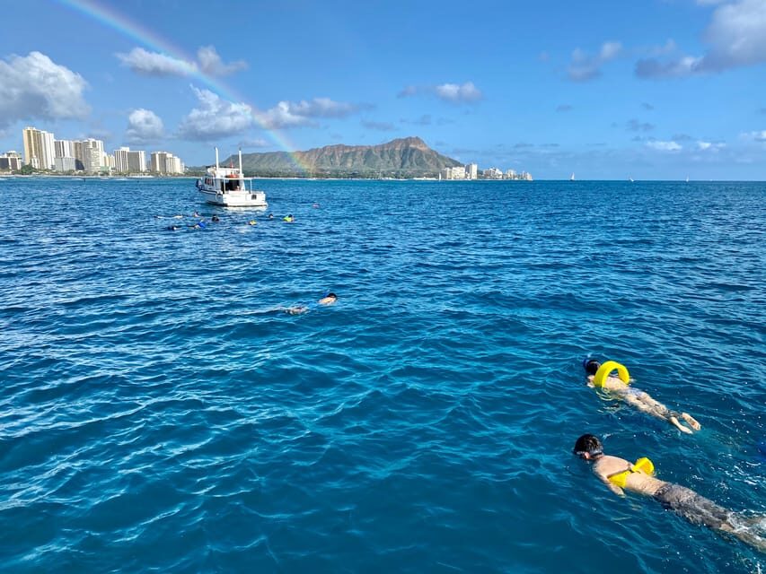 Waikiki: Sea Turtle Snorkeling, Small Group Boat Tour - Price and value: why $116 can make sense here