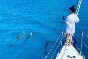 Waikiki small group turtle snorkeling & sailing - Meeting at Hawaii Yacht Club: How the Start Works (and What to Do First)