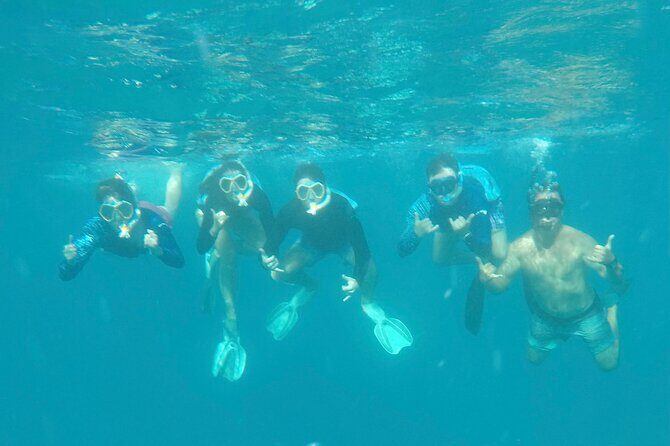 Waikiki small group turtle snorkeling & sailing - What You’ll See at the Reef: Sea Turtles, Tropical Fish, and Possible Extras