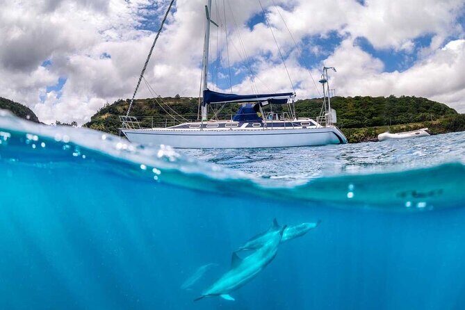 Waikiki small group turtle snorkeling & sailing - Crew You Might Meet: Captain Tony, Abe, and Other Guide Teams