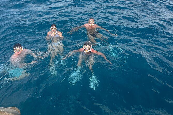 Waikiki small group turtle snorkeling & sailing - Snacks, Drinks, and the Not-Included Reality: Pack for the Water