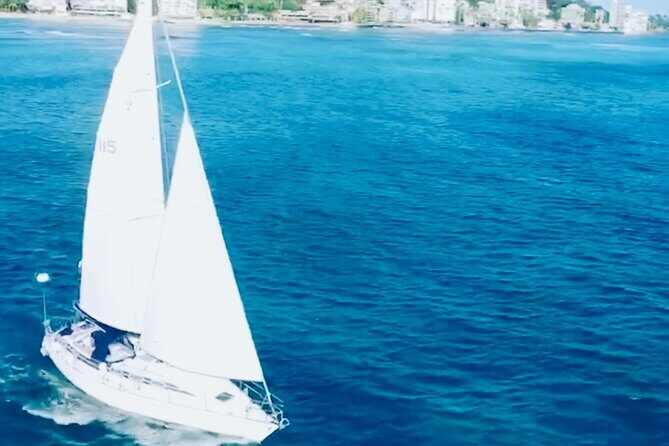 Waikiki small group turtle snorkeling & sailing - Value Check: Why $99 Can Feel Like a Bargain Here