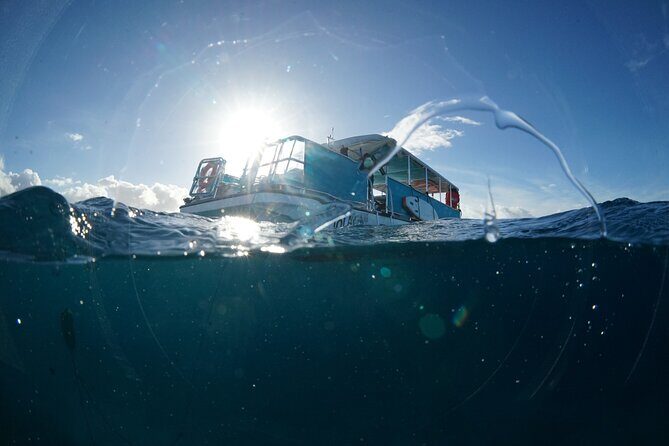 Waikiki Snorkel Tour - Coral Caverns and Tropical Fish: How the Tour Keeps It From Being Only Turtles