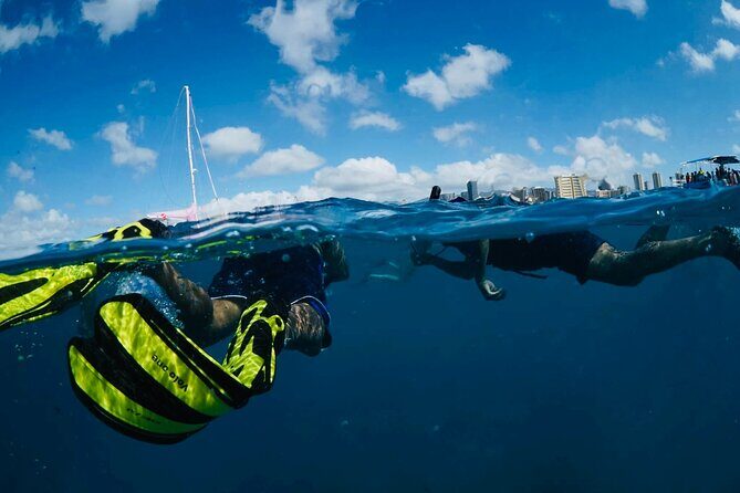 Waikiki Snorkel Tour - Tips That Make Your Time in the Water Go Better