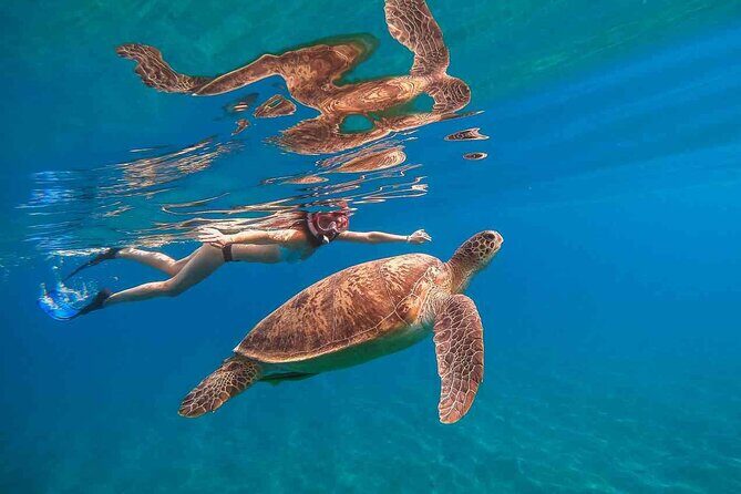 Waikiki Snorkeling Adventures with E Sea Diver! - Key things to know before you go