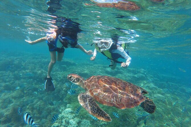 Waikiki Snorkeling Adventures with E Sea Diver! - From Pier E to open water: the catamaran setup