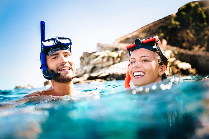 Waikiki Snorkeling Adventures with E Sea Diver! - Wildlife spotting: turtles, fish, and how to set your expectations