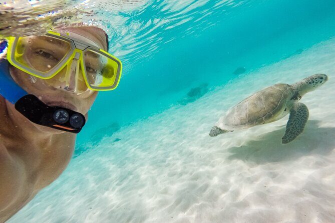 Waikiki Snorkeling Adventures with E Sea Diver! - Onboard energy: snacks, bathrooms, and the add-on vibe