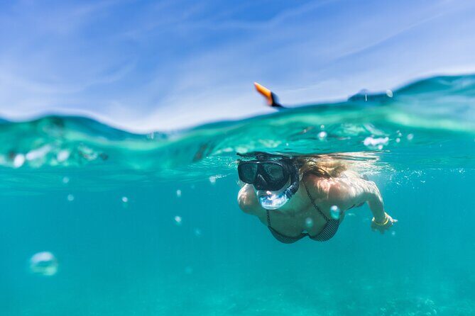 Waikiki Snorkeling Adventures with E Sea Diver! - Meeting point and timing: what the 3 hours feels like