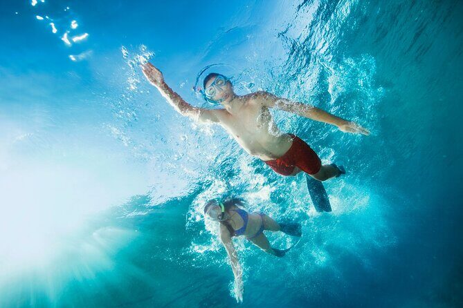 Waikiki Snorkeling Adventures with E Sea Diver! - Price and value: why $69 can feel fair (or not)
