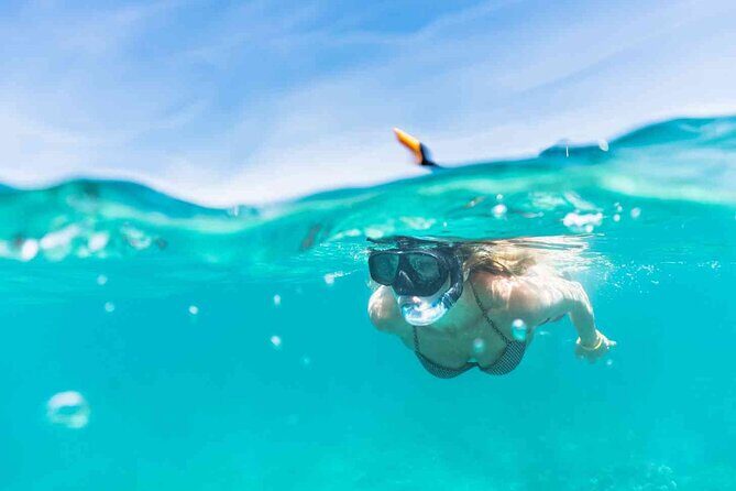 Waikiki Snorkeling Adventures with E Sea Diver! - The snorkeling part: gear, help, and what you’ll actually do