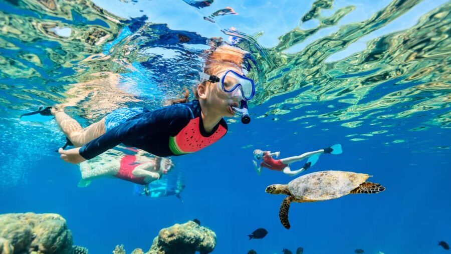 Waikiki: Snorkeling & Ocean Playground Experience - The Simple Timing: What Your 2 Hours Typically Look Like