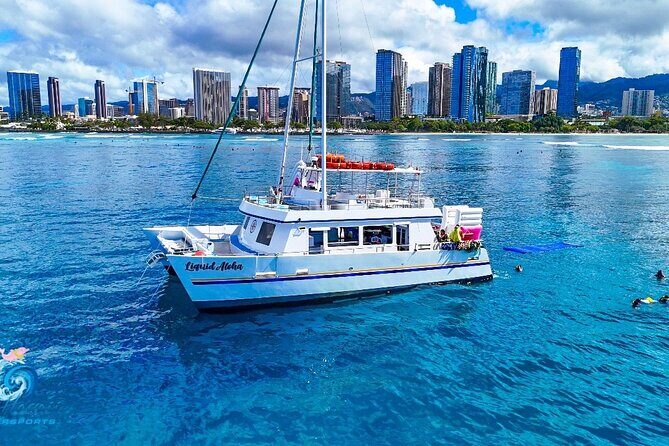 Waikiki Snorkeling & Ocean Waterpark Adventure from Oahu - Marine Life Reality Check: Turtles, Fish, and Why Time of Day Matters