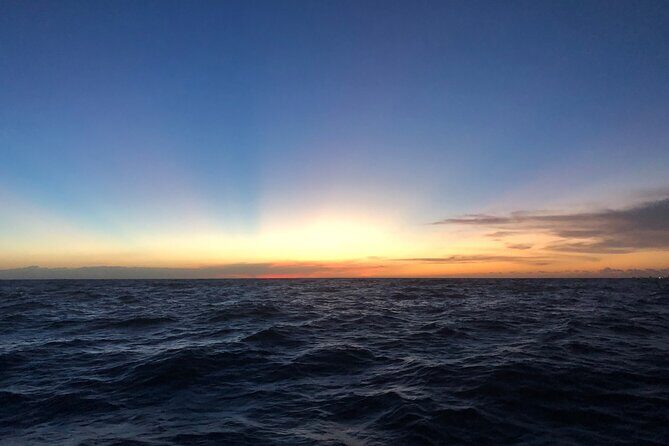 Waikiki Sunset Boat Cruise - Wildlife Chances: Dolphins, Sea Turtles, and Winter Whales