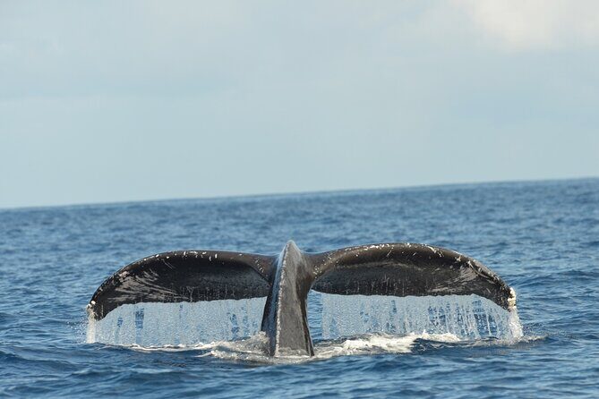 Waikiki Sunset Cruise Catamaran Boat Tour on Oahu - What You Get On Board: Snacks, Hot Drinks, and BYOB