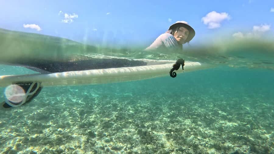 Waikiki: Surf Lessons Easy 60 min classes no crowds! - Surfing Waikiki’s South Shore, minus the chaos