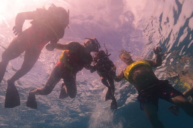 Waikiki: Turtle Canyon Snorkel - Group size, atmosphere, and the crowd factor at Turtle Canyon