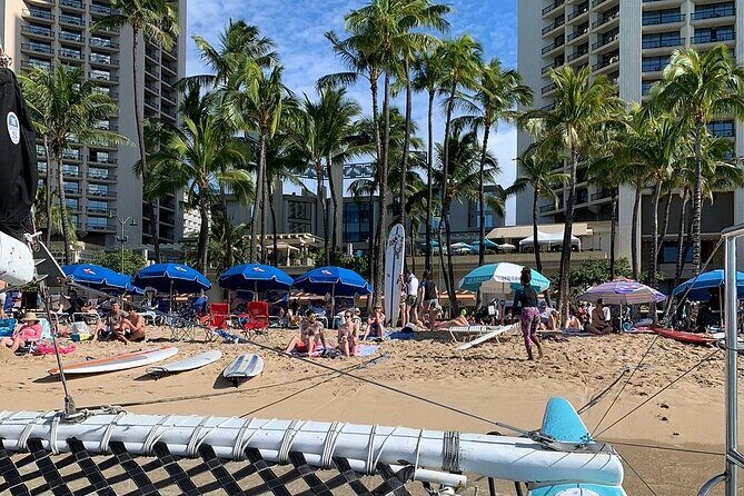 Waikiki Turtle Snorkel and Sail on Hawea Catamaran - What You’ll Likely See in Turtle Canyon