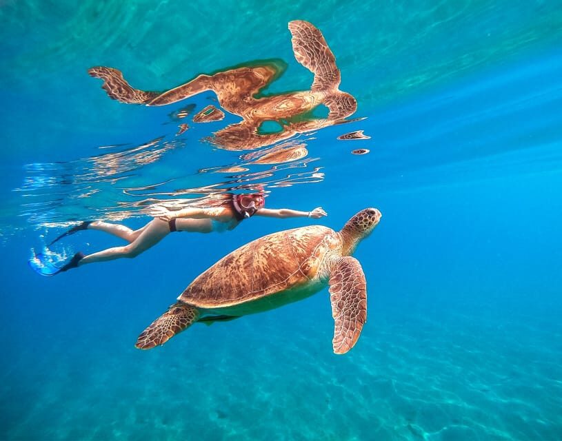 Waikiki: Turtle Snorkeling Cruise with 20ft Jumping Platform - Key things that make this cruise worth your time