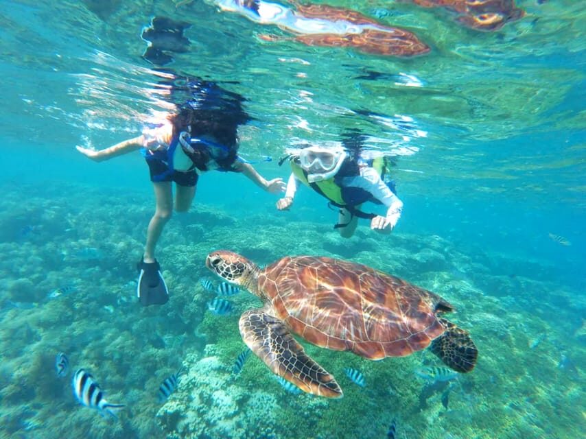 Waikiki: Turtle Snorkeling Cruise with 20ft Jumping Platform - Getting off Waikiki: the 3-hour catamaran rhythm
